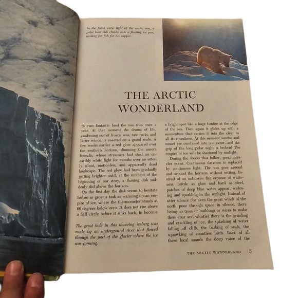 Vintage Walt Disney Worlds of Nature Book - Picture 6 of 11